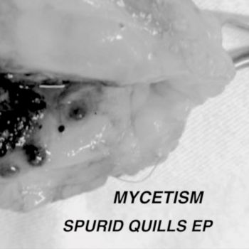 Mycetism - Spurid Quills (2022)
