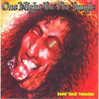 David "Rock" Feinstein - One Night In The Jungle (2000)