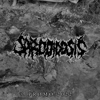 Sarcoidosis - Promo 2022 (2022)