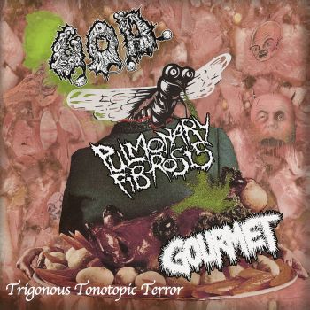 Grotesque Organ Defilement / Gourmet / Pulmonary Fibrosis - Trigonous Tonotopic Terror (2022)