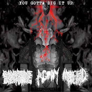 Gangrene Discharge / Agony / Minced Piles - You Gotta Dig It Up (2022)