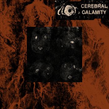 Clot - Cerebral Calamity / Casual Masochist (2022)