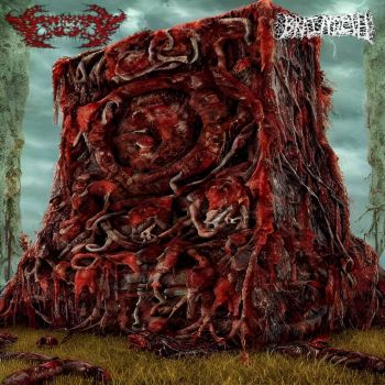 A Man Named Onigumo / Braindeth - Split (2022)