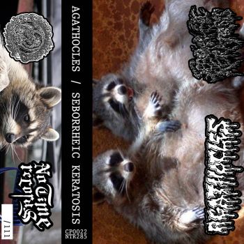 Agathocles / Seborrheic Keratosis - Split (2022)