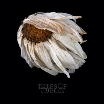 Tales of Ojela - Lapse Of Collapse (2022)