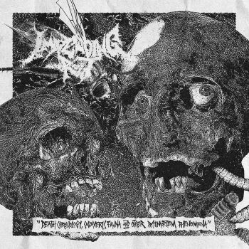 Impending Rot - Death Chronology, Cadaveric Fauna and Other Postmortem Phenomena (2022)