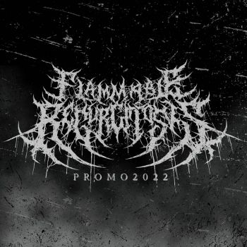 Flammable Regurgitosis - Promo 2022 (2022)