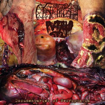 Cystgurgle / Putrid Stu - Documentaries of Necrophagia (2022)