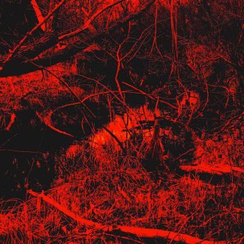 Discordant Meditation - Anticosmic Womb (2022)