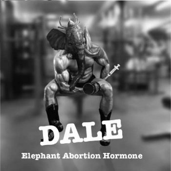 Dale - Elephant Abortion Hormones (2022)