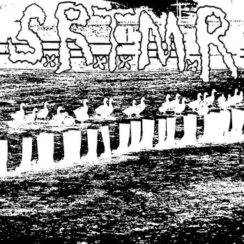 S.R.T.M.R. - Demo (2022)