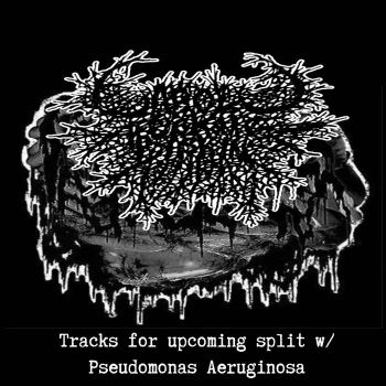 xCxFxBx - Split with Pseudomonas Aeruginosa (2022)