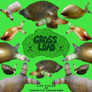 Gross Load - Life Cycles of Parasitic Organisms (2022)