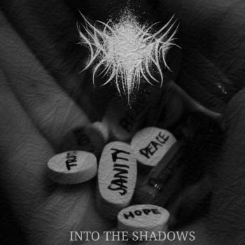 Void It - Into the Shadows (2022)
