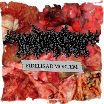 Thanatopsis - Fidelis ad Mortem (2022)