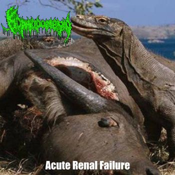 Komodonesia - Acute Renal Failure (2022)