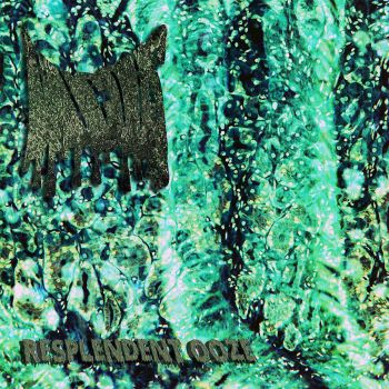 Mucous - Resplendent Ooze (2022)
