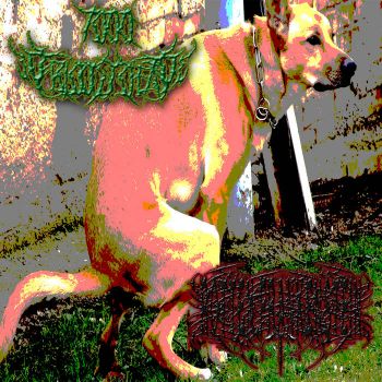 7000_bloody_dead / Rotten Frankenstein - Split (2023)