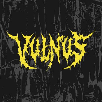 Vulnus - Promo 2023 (2023)