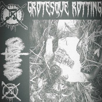 Castraded - Grotesque Rotting (2023)