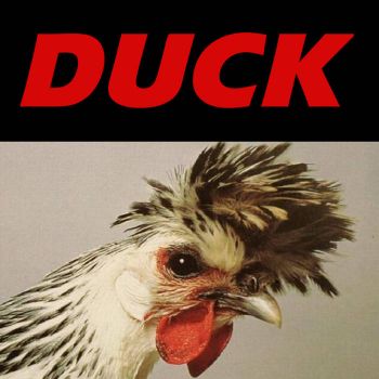 jackflaps - Duck (2022)