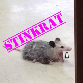 Stinkrat - A (2023)