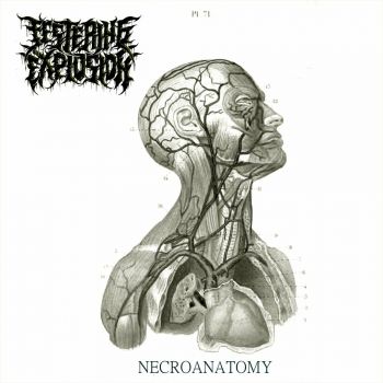 Festering Explosion - Necroanatomy (2023)