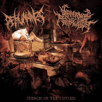 Dehumanize / Catatonic Profanation - Stench of the Lifeless (2023)