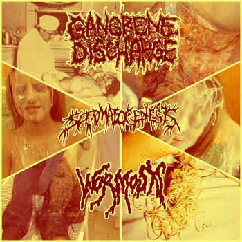 Gangrene Discharge / Spermatogensis / Wormosis - Split (2023)