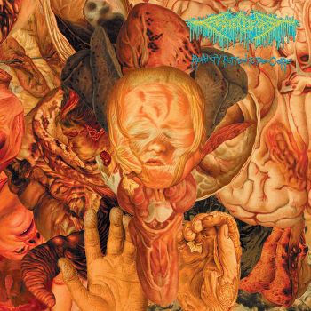 FesterDecay - Reality Rotten to the Core (2023)