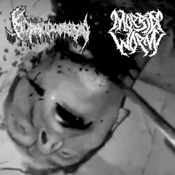 Komodonesia / Morbid Worm - Split (2023)