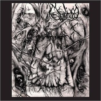 Mycelium Shroud - Mycelium Shroud (2023)