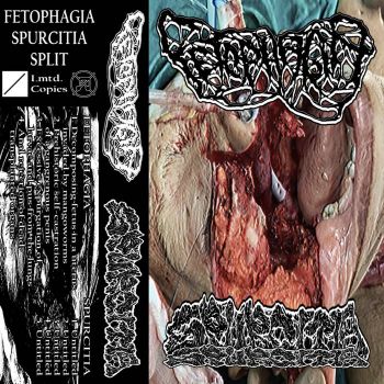 Fetophagia / Spurcitia - Split (2023)