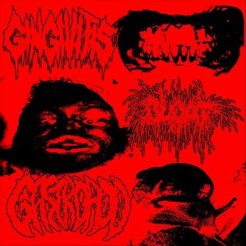 Gingivitis / Bloat / Gastropod - Split (2023)