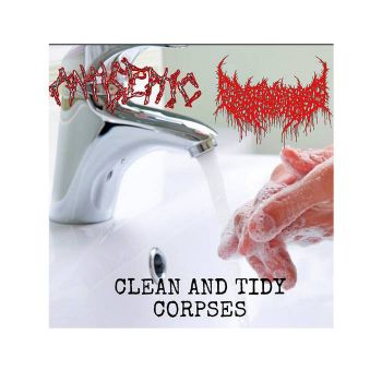 Antiseptic / Death by Hornets - Clean and Tidy Corpses (2023)