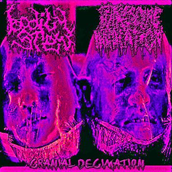 Bodily Stew / Putrescine Inhalation - Cranial Decimation (2023)