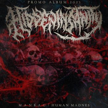Hidden Insanity - Hidden Insanity (2023)