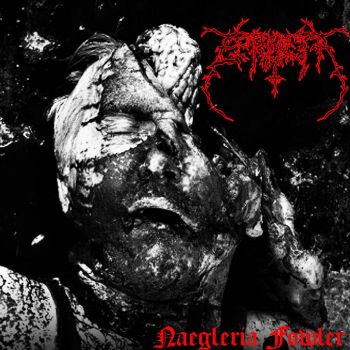 Zergeth - Naegleria Fowler (2023)