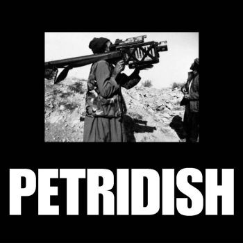 Petridish - Defusal Method (2023)