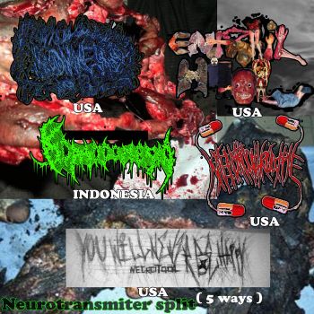 Bonkers / Entrail Hail / Komodonesia / Menstrualthroatpie / Necrotool - Neurotransmiter (2023)