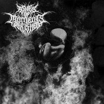 Ashes of Moments Perished - Womb in Black Flame (2023)