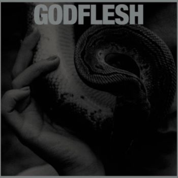 Godflesh - Purge (2023)