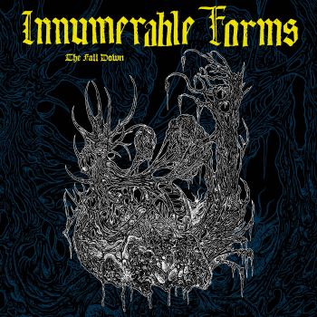Innumerable Forms - The Fall Down (2023)