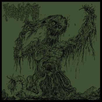 Fulminate - Agony Resonates Pleasantly (2023)