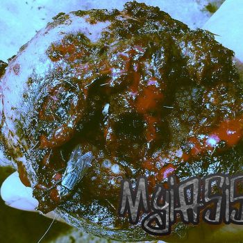 Myiasis - Myiasis (2023)