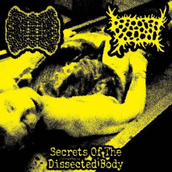 Violent Memories / The Personification of Pleasure - Secrets of the Dissected Body (2023)