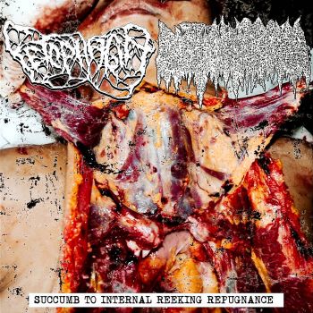 Cystic Hygroma / Fetophagia - Succumb to Internal Reeking Repugnance (2023)