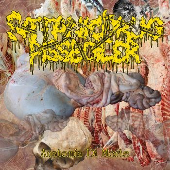 Satanic Drug Pissboiler - Anatomia di Morte (2023)