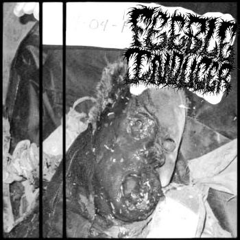 Feeble Inducer - Seven Dumps of Mindless Fury (2023)