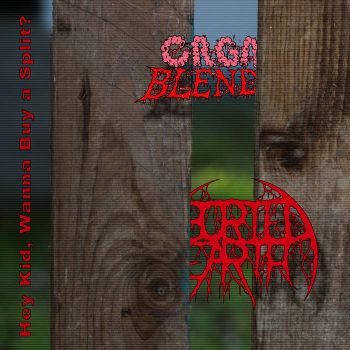 Organ Blender / Aborted Earth - Hey Kid, Wanna Buy a Split? (2023)